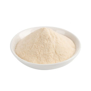 High Purity Private Label White Onion Powder Food Grade Fine <b>Mesh</b> Premium Quality Onion Powder Bulk Export Quality - Product Image 1