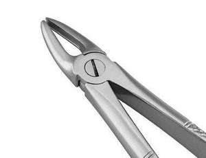 Pinces manuelles en acier inoxydable de haute qualité certifiées CE pour l'extraction dentaire pédiatrique, instruments chirurgicaux de classe I à poignée chirurgicale - Product Image 5