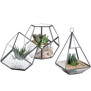 Newest Look Iron Metal With Clear Glass Black <b>Frame</b> Three Difference Shape Terrarium Stylish Tabletop and Hanging <b>Plant</b> - Product Image 1
