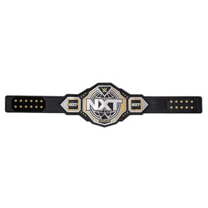 Réplica del Cinturón de Campeonato NXT 2024 - Product Image 4