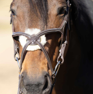 Brida de Cuero Profesional de Alta Calidad para Caballo, Transpirable, Modelo Personalizado 10124bl, Equipo Ecuestre para Montar a Caballo, Venta Caliente - Product Image 2
