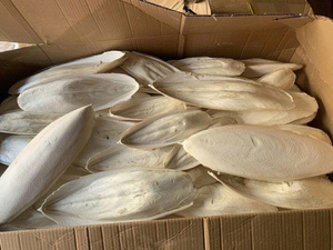 Hojuelas de Hueso de Sepia Secas para Alimento de Aves y Nutrición de Reptiles, Suplemento Natural de Calcio, Materia Prima de Origen Marino - Product Image 2