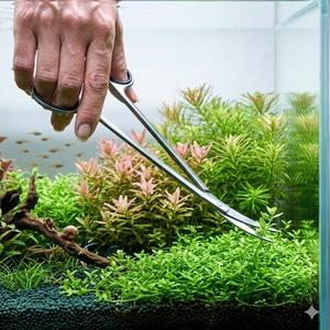 Tijeras para Acuario de 10 Pulgadas de Largo, Curvas, de Acero Inoxidable, Herramienta para Acuarios, Venta al por Mayor - Product Image 1