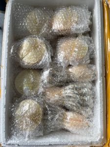 ถาดเปลือกหอยขัดเงา ลดราคาพิเศษ จานมุกธรรมชาติ จานใส่ไข่ปลาคาเวียร์ งานฝีมือสุดหรู ของขวัญ ขายส่ง - Product Image 6