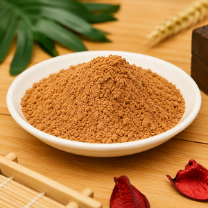 WATER SOLUBLE PAPAYA JUICE POWDER - PREMIUM GRADE RIPE PAPAYA POWDER FOR DRINK MIXES/ MS ALINA - Product Image 1