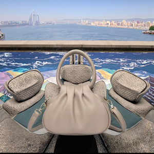 New Fashion Single-Shoulder <b>Messenger</b> <b>Bag</b> for Young Women <b>Ladies</b> Daily Handbag with Polyester Lining Cloud Shape Capacity 48 - Product Image 3