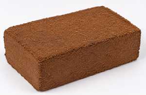 Discos de Turba de Coco Comprimida, Biodegradables, Ligeros, Listos para Usar, Bloques para Germinación de Semillas, Cultivo de Plantas, Jardinería - Product Image 3