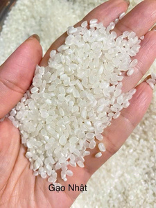 Riz blanc à grains courts séché, texture moelleuse, haute qualité pour usage en restauration, marque IIglobal, vente en gros en vrac - Product Image 3