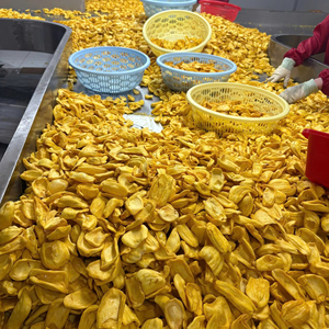 Chips de Jaca Dulces y Crujientes de Fábrica Vietnamita - Product Image 1