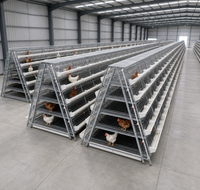 Cages à poules pondeuses de type A pour élevage avicole, en fil galvanisé avec mangeoire et système d'abreuvement