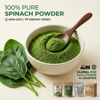 Poudre d'épinards hydrosoluble Astrawell pour smoothies, non-OGM, extrait vert pur, super-aliment en poudre