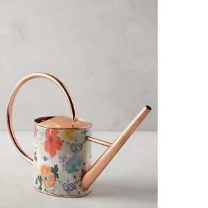 Regadera Moderna Galvanizada, Regadera de Forma y Tamaño Personalizados para Decoración de Jardín de Alta Calidad en India - Product Image 1