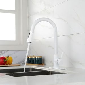 Rubinetto da Cucina a Doppia Maniglia in Acciaio Inox 304, Finitura Lucida, con Doccetta Estraibile, Superficie Bronzata - Product Image 5