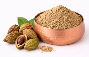 Poudre de fruit de Haritaki, poudre de plantes médicinales pour la vente en gros - Product Image 1