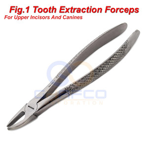 Prix de gros – Meilleures ventes : Forceps d'extraction dentaire manuels en acier inoxydable, fabriqués au Pakistan - Product Image 3