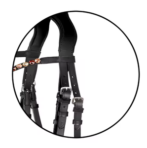 Bridon de cheval en cuir de qualité supérieure, logo personnalisé, taille personnalisable, emballage haut de gamme, fournisseur équestre de premier ordre - Product Image 4