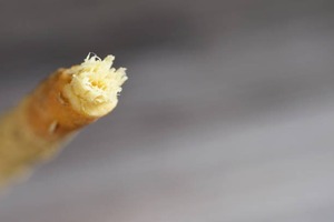 Natureline Herbal Miswak Sticks Organic <b>Teeth</b> <b>Whitening</b> Fresh Breath Eco-Friendly Dental Hygiene Gum Strengthening Plaque Aid - Product Image 2