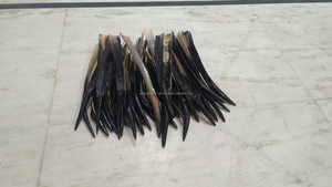 Haute qualité 50 cm de long noir et blanc Ox Buffalo Shoe Horn Style animal poli et élégant - Product Image 3