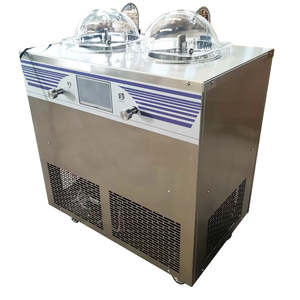 BIG Staff 2 Flavors Live Show Fresh Italian Gelato Hard <b>Ice</b> Cream Machine Batch <b>Freezer</b> - Product Image 1