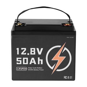 Batteria LiFePO4 12V 50Ah a Ciclo Profondo, Litio Ferro Fosfato, 15000 Cicli, BMS Integrato, Protezione Basse Temperature, Capacità 5kWh, 51.2V - Product Image 1