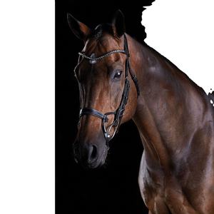 Bride en cristal sautant - Product Image 1