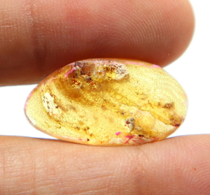 Cabochon en ambre baltique naturel de 7 carats, forme fantaisie, taille 26x14x7 mm, pour la fabrication de bijoux - Product Image 1