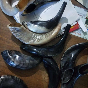 Shofar único hecho a mano, hermoso shofar de cuerno de carnero para celebraciones, de la India. Venta al por mayor de shofar de cuerno de carnero Kudu a granel. - Product Image 1