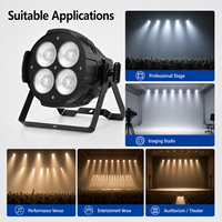Projecteur LED matriciel 4*50W COB à quatre yeux IP33 DMX512, montage en surface, blanc chaud/froid, CRI90