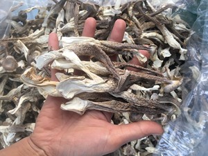 Hongo Oreja de Pana Seco Natural, Premium, Comestible, 99 Gold Data Vietnam, Proveedor Mayorista, 24 Meses de Vida Útil - Product Image 1