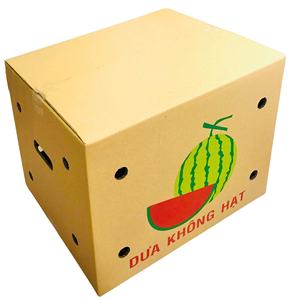 Caja de Cartón Corrugado Autoerigible de Alta Calidad para Batatas, Diseño Ventilado, Duradera, Reciclada, Impresa en Flexografía - Product Image 4