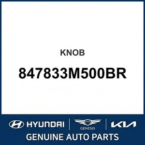 ฟิวส์และกล่องฟิวส์ใหม่ 847833M500BR - Product Image 1