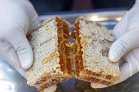 Gâteau en nid d'abeille frais délicieux 500g gâteau en nid d'abeille en gros 100% miel pur cru sans ingrédients de sucre directement du Vietnam