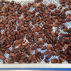 2200W Washing Vegetables Washing Cleaning Line Automatic Small Dates Drying Machine 2200W Without Water and Sorter - Product Image 5