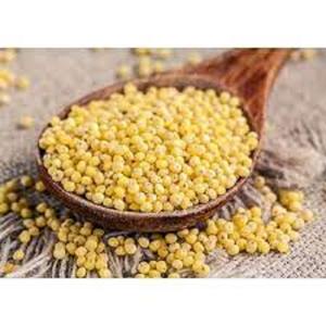 Millet jaune de qualité supérieure en vrac, frais et de haute qualité, directement de la ferme, pour une alimentation saine et naturelle - Product Image 4
