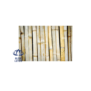 PALO DE BAMBÚ RECTO DESPIRIMIDO AL POR MAYOR CON SUPERFICIE LISA - Product Image 1