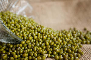 Frijoles Mung Verdes Orgánicos de Primera Calidad, Frijoles Mung Enteros para Germinar, Cocinar, Procesar y Comercio Internacional a Precio Económico - Product Image 2