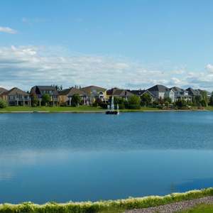 El mejor limpiador de estanques con microbios beneficiosos para el tratamiento de lodos y algas - Product Image 5