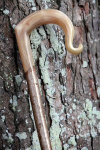 Bastón musical con mango de cuerno de búfalo, tamaño personalizado, artículos para el hogar, bastón de cuerno de búfalo natural con mango, bastón para caminar - Product Image 3