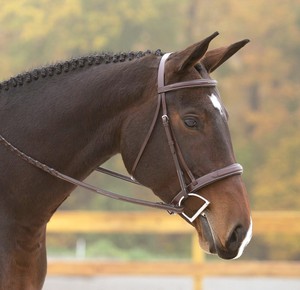 Brida de cuero para caballo con narquileras acolchadas y riendas a juego, equipo de equitación inglés para uso en doma clásica. - Product Image 2