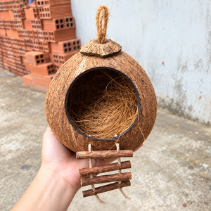รังนกมะพร้าว-บ้านนกทำจากเปลือกมะพร้าวธรรมชาติ สำหรับนกแก้ว นกหงส์หยก นกกระตั้ว หนูแฮมสเตอร์/ คุณอลีนา - Product Image 5