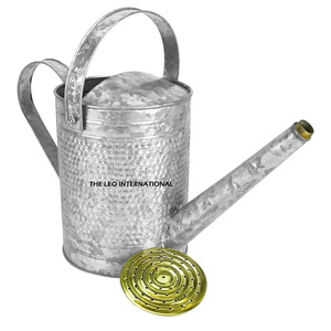 Arrosoir décoratif en métal en gros, nouveau, facile à remplir, pour l'arrosage intérieur et extérieur - Product Image 4