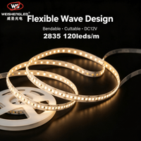 Lampu Strip LED 2835 24V 120 LED/m CRI>83  Lumen Tinggi Lampu Pita LED Fleksibel untuk Dekorasi Proyek Dalam Ruangan