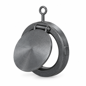 Vanne de retenue compacte à joint torique en fonte SG de 2 pouces de haute qualité PN16 en fonte ductile - Product Image 1
