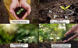 Poudre de Karanja Biologique, Engrais Multi-Usages, Engrais pour le Sol et les Cultures - Terra Bio Naturals Pvt Ltd, Fabricant et Exportateur du Tamil Nadu - Product Image 5