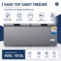 Congélateur Commercial Grande Capacité 405L-1013L, Réfrigérateur Horizontal à Caisse Profonde avec Porte Supérieure, Équipement de Réfrigération