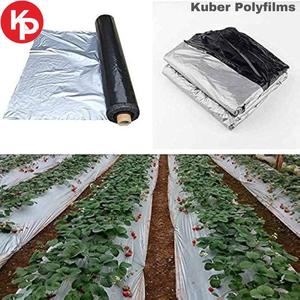 Película de mantillo negro y plateado de alta resistencia de 20 micras, cubierta de suelo de plástico LDPE con protección UV para invernaderos para agricultura - Product Image 2