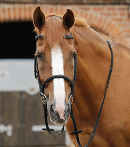 Professional 2026 Racing Horse <b>Reins</b> Anti Slip <b>Side</b> <b>Reins</b> Accessories Factory Manufacturer Supplier Durable Horse Riding <b>Reins</b> - Product Image 6