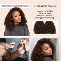 Extensions de cheveux humains au crochet marron chocolat, tresses au crochet sans nœuds effet plume pour femmes