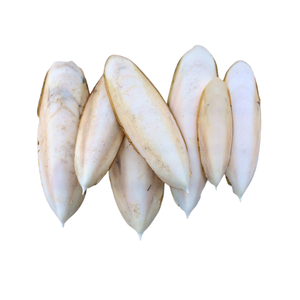 Os de Seiche Écologique BLUE LOTUS pour Oiseaux et Reptiles - Absorption Rapide, Vitamines et Minéraux Sûrs, Renforcement Osseux, Soin du Bec - Product Image 1