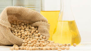 น้ำมันถั่วเหลืองคุณภาพสูง น้ำมันถั่วเหลืองบริสุทธิ์ ลดราคาพิเศษสำหรับทำอาหาร น้ำมันจากพืช มีจำหน่ายจำนวนมากแล้ว - Product Image 5